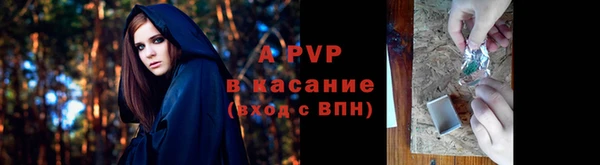 Альфа ПВП Баксан